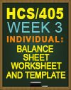 HCS/405 Balance Sheet Worksheet and Template